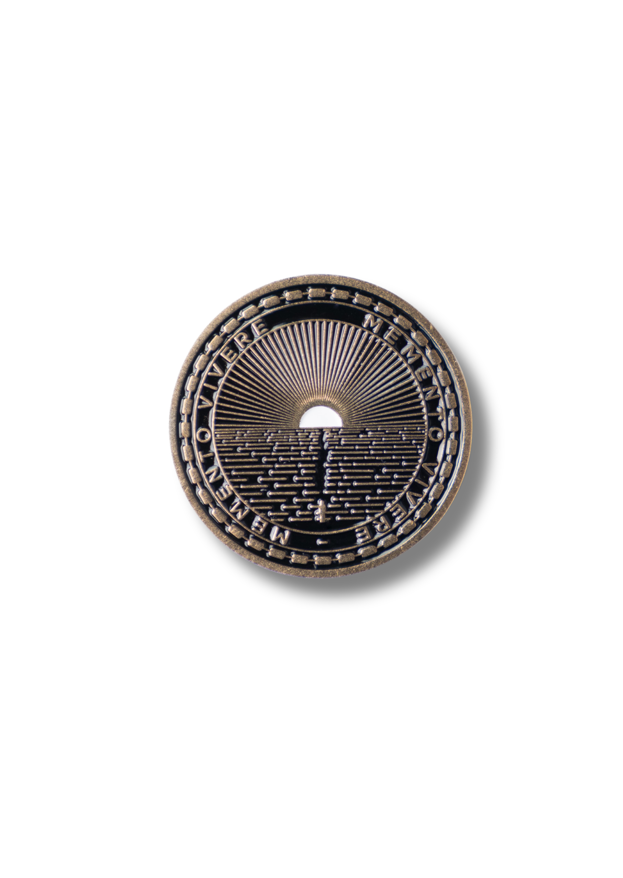 A single palm leaf in a clear glass of water on a white background.