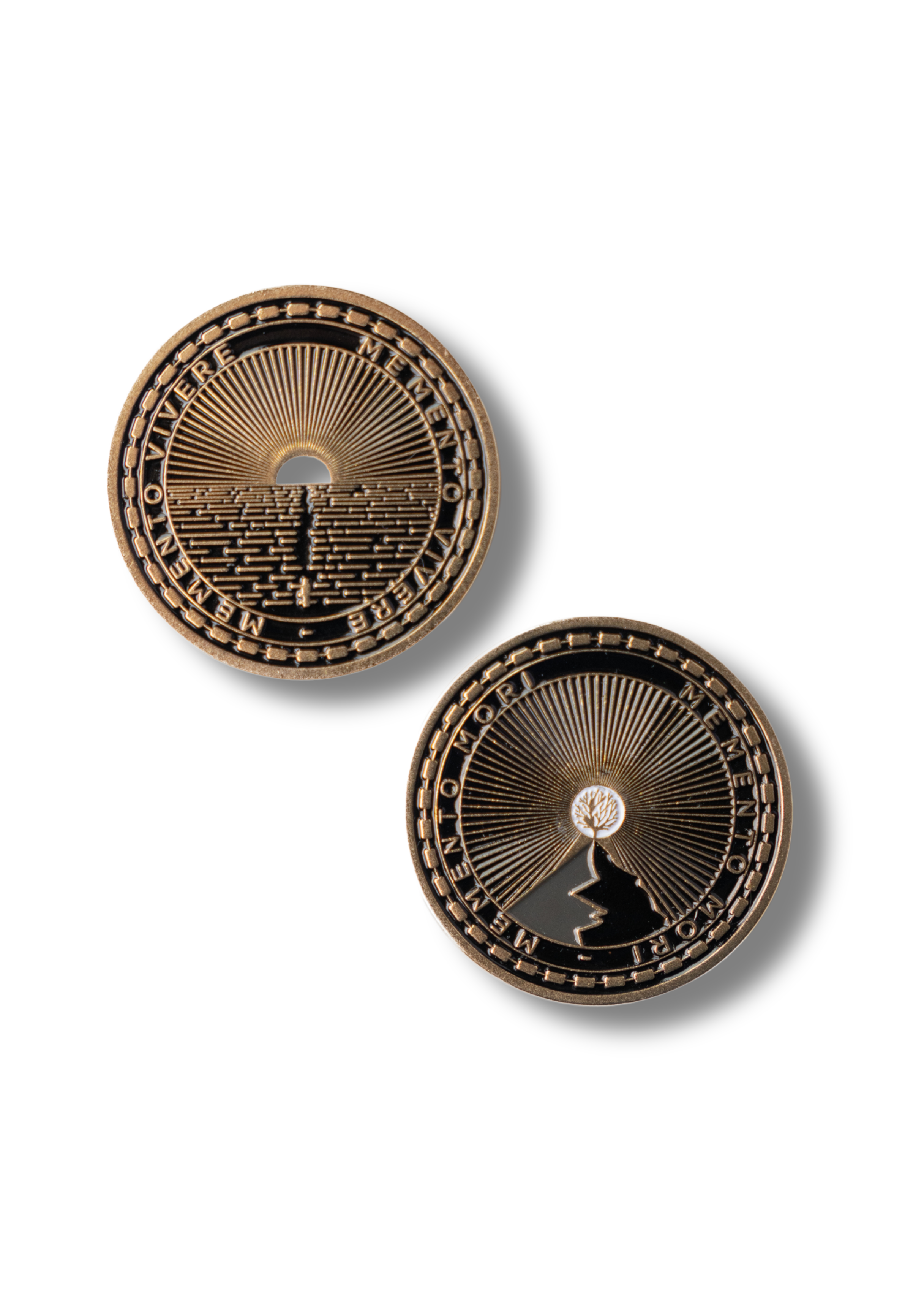 Smartphone with content on screen beside a potted plant against a white background with sunlight shadows.