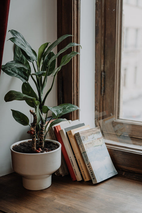The Best Self-Improvement Books 