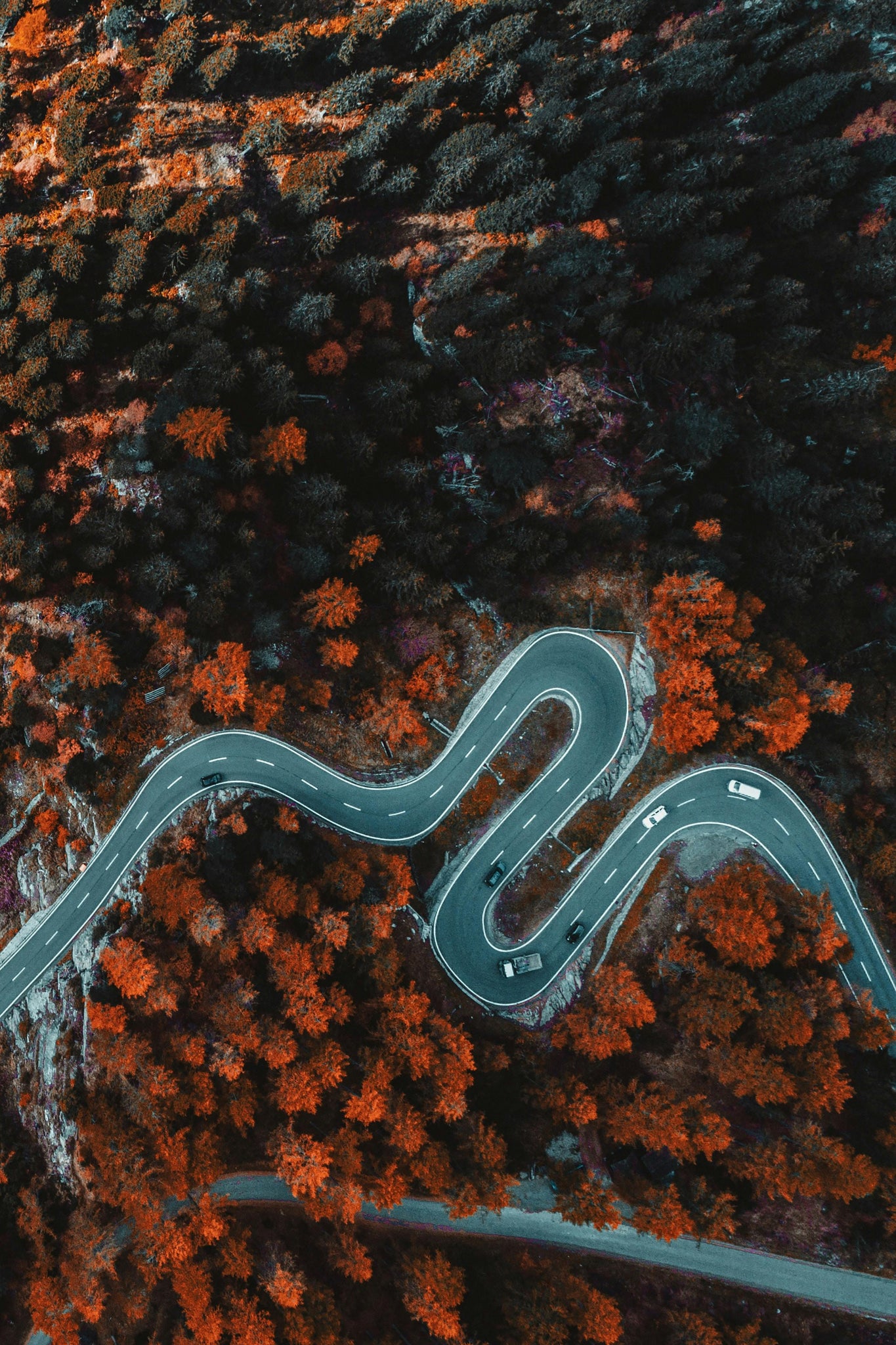 Progress is Not Made in a Straight Line