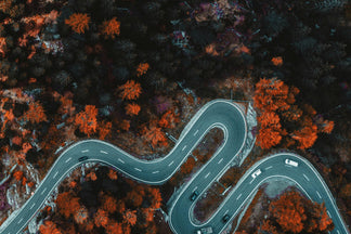 Progress is Not Made in a Straight Line
