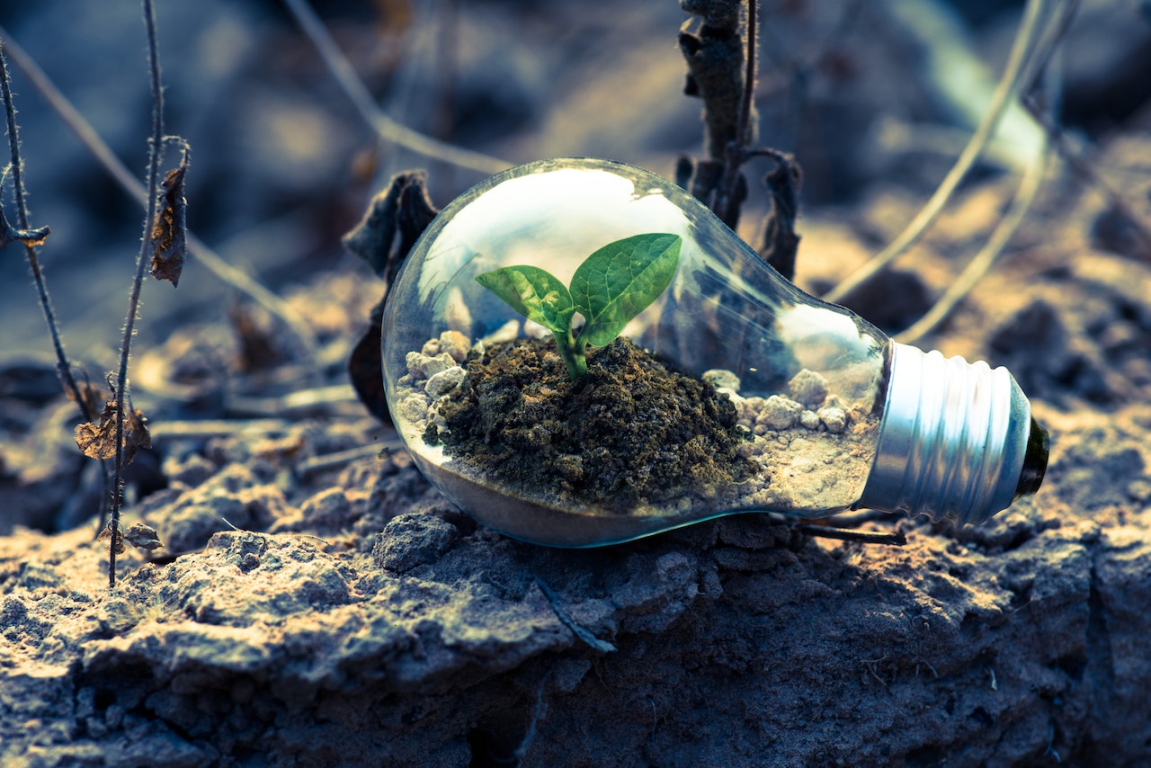 Adopting A Growth Mindset