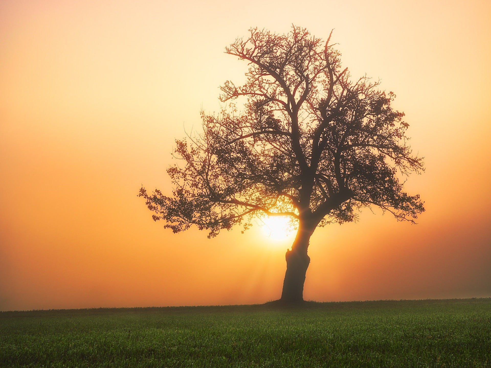 Importance of Self-Examination